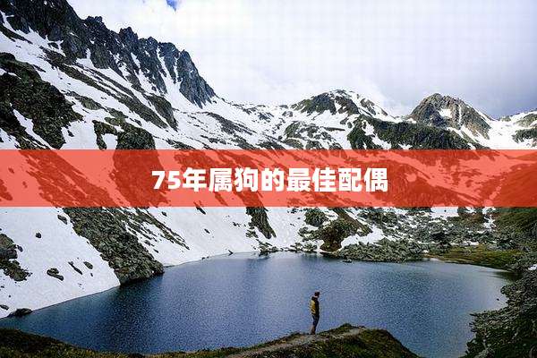 75年属狗的最佳配偶
