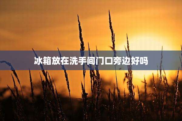 冰箱放在洗手间门口旁边好吗