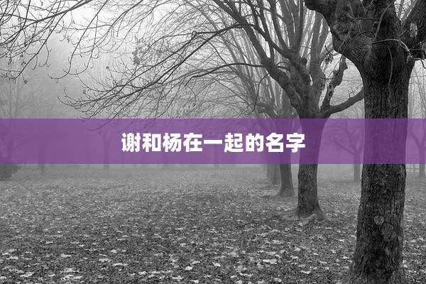 谢和杨在一起的名字