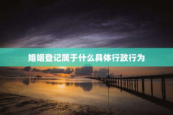 婚姻登记属于什么具体行政行为