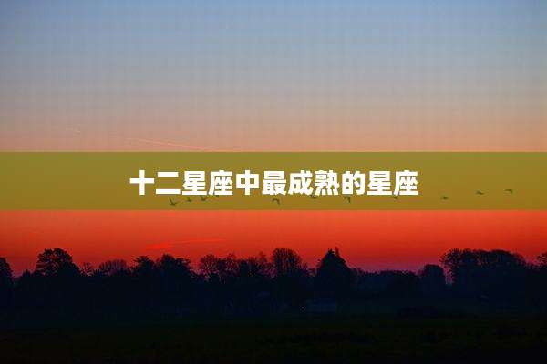 十二星座中最成熟的星座