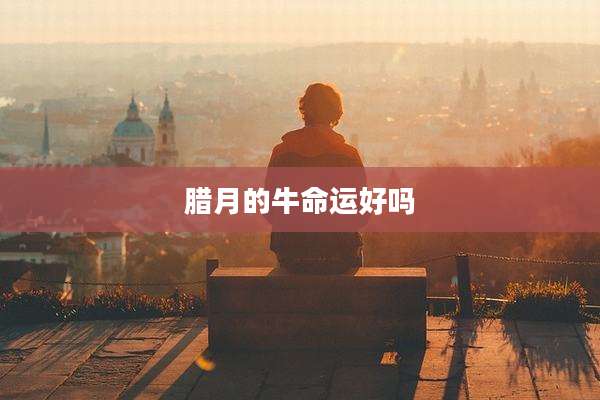 腊月的牛命运好吗