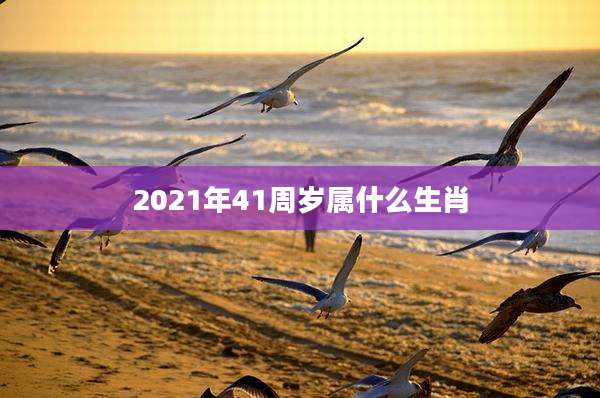 2021年41周岁属什么生肖
