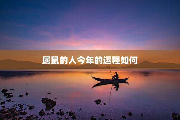属鼠的人今年的运程如何