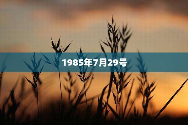 1985年7月29号