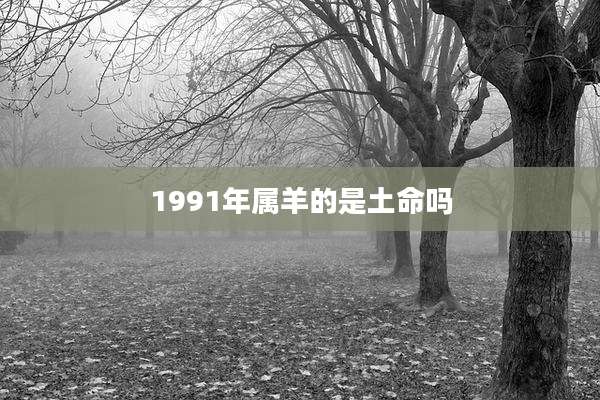 1991年属羊的是土命吗