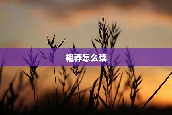 粗莽怎么读