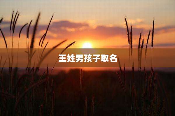 王姓男孩子取名