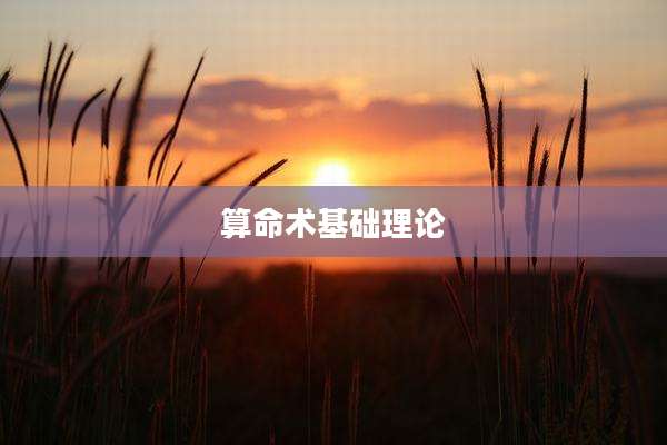 算命术基础理论