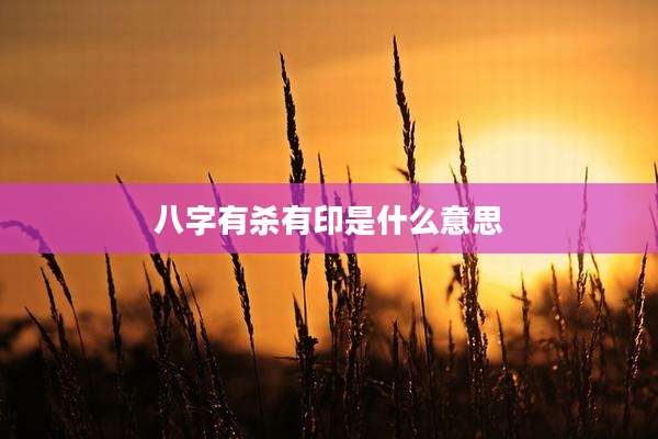 八字有杀有印是什么意思