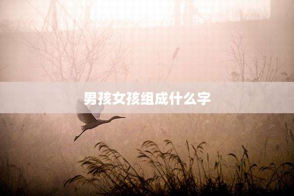 男孩女孩组成什么字