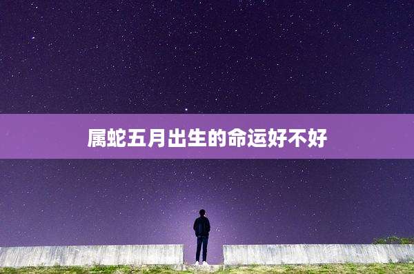 属蛇五月出生的命运好不好