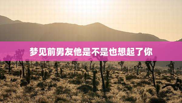 梦见前男友他是不是也想起了你