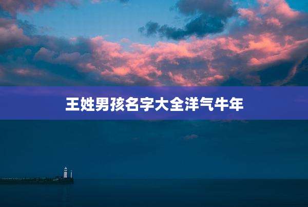 王姓男孩名字大全洋气牛年