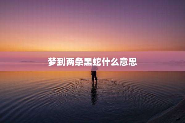 梦到两条黑蛇什么意思
