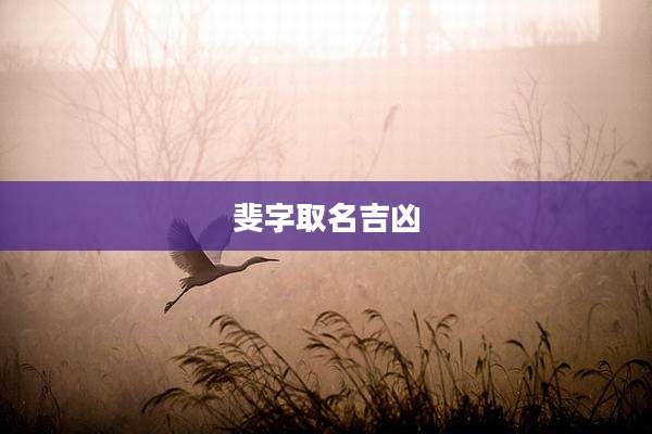 斐字取名吉凶