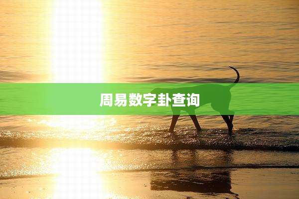 周易数字卦查询