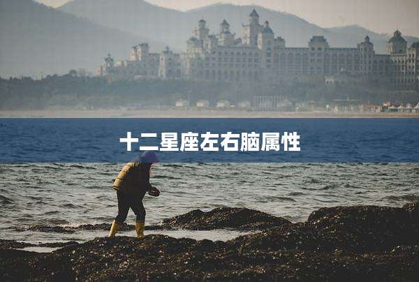 十二星座左右脑属性