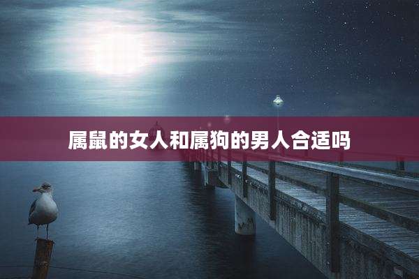 属鼠的女人和属狗的男人合适吗
