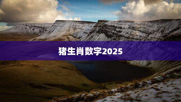 猪生肖数字2025