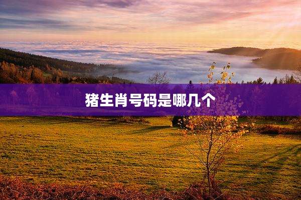 猪生肖号码是哪几个