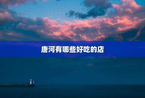 唐河有哪些好吃的店