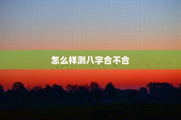 怎么样测八字合不合