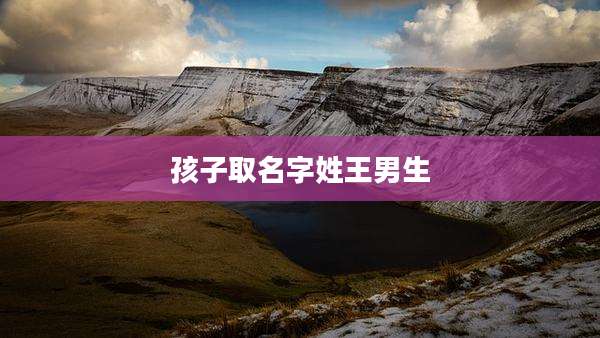 孩子取名字姓王男生