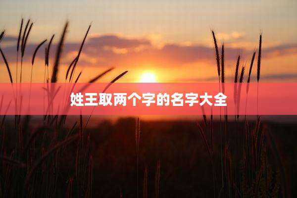 姓王取两个字的名字大全