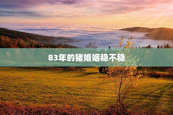 83年的猪婚姻稳不稳