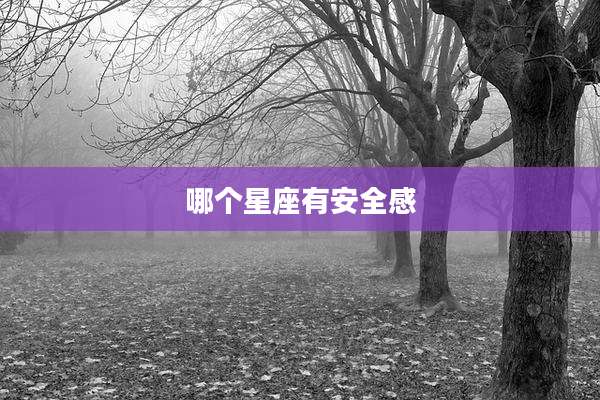 哪个星座有安全感