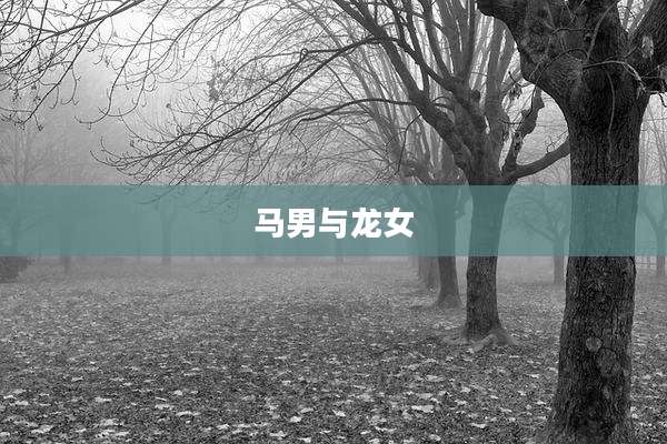 马男与龙女