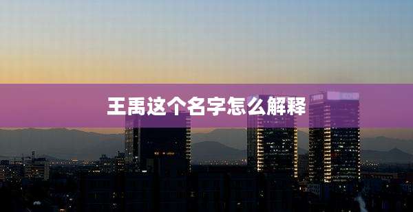 王禹这个名字怎么解释