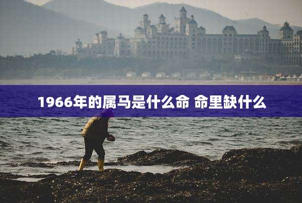 1966年的属马是什么命 命里缺什么