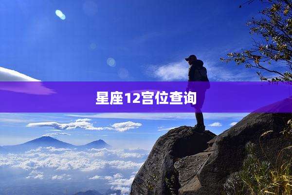 星座12宫位查询