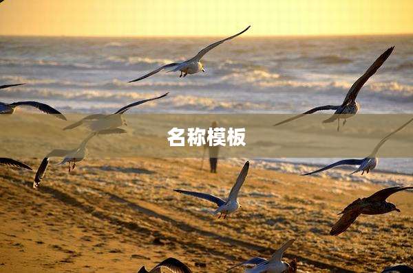 名称模板