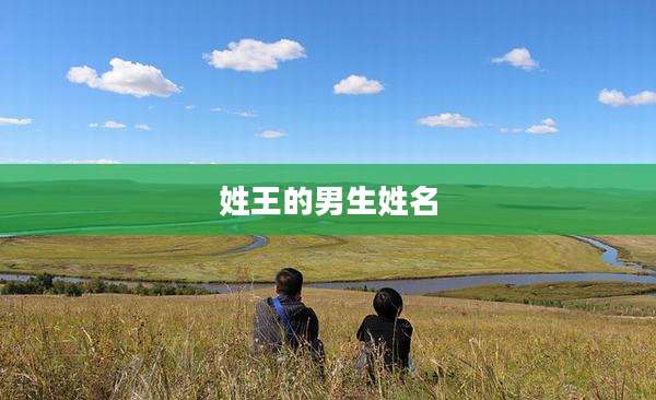 姓王的男生姓名