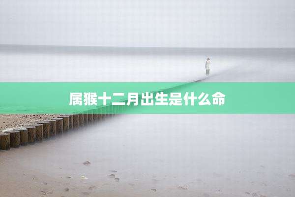 属猴十二月出生是什么命