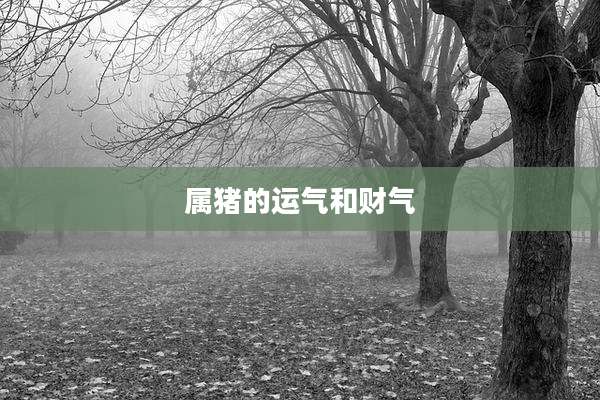 属猪的运气和财气