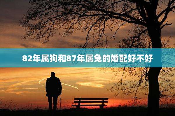 82年属狗和87年属兔的婚配好不好