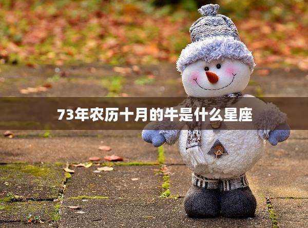 73年农历十月的牛是什么星座