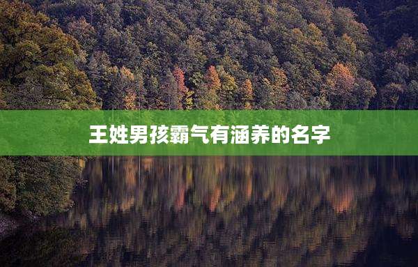 王姓男孩霸气有涵养的名字
