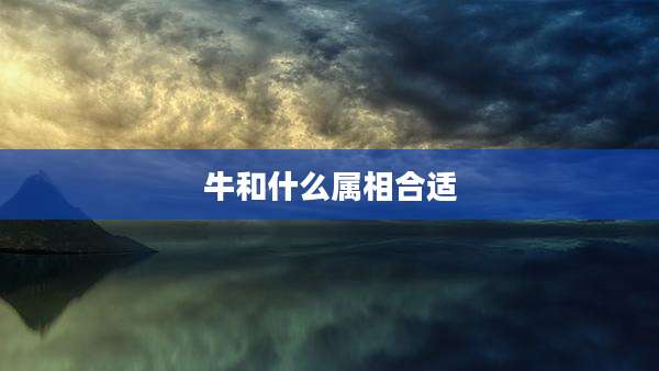 牛和什么属相合适