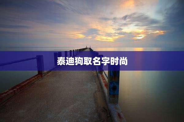 泰迪狗取名字时尚