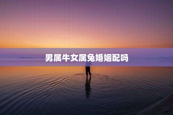 男属牛女属兔婚姻配吗