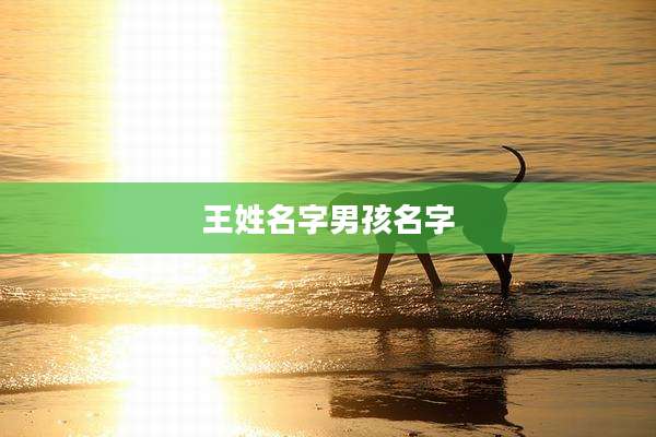 王姓名字男孩名字