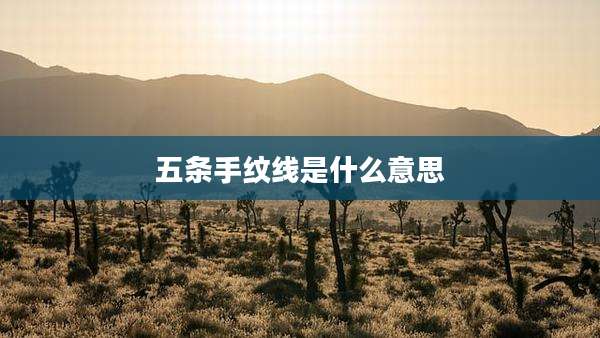 五条手纹线是什么意思