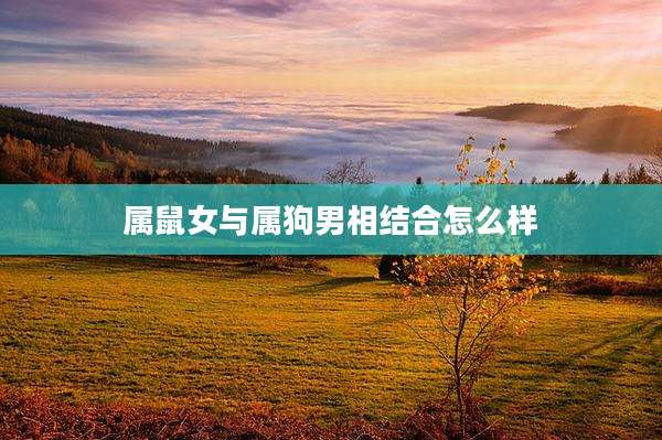 属鼠女与属狗男相结合怎么样