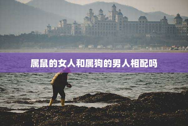 属鼠的女人和属狗的男人相配吗