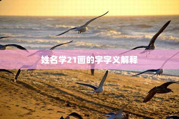 姓名学21画的字字义解释